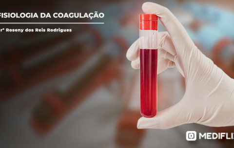 banner_fisiologia_da_coagulacao_640x340